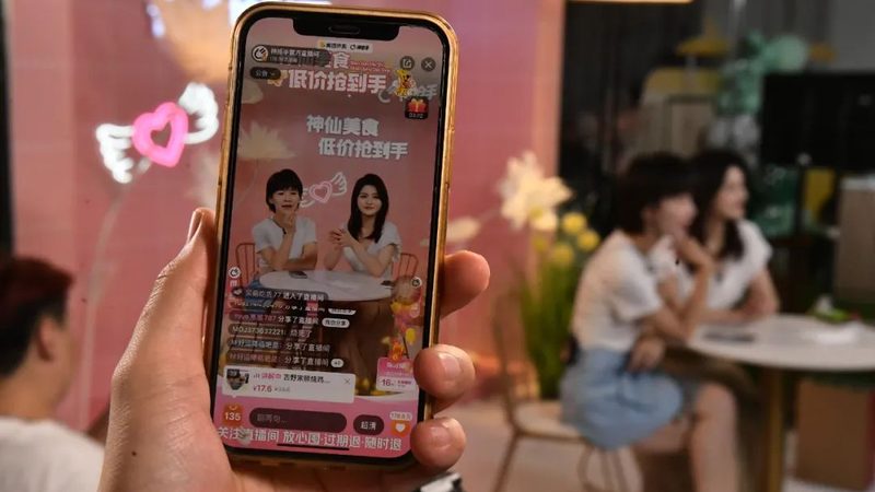 长途搬家，宠物如何安全托运？检疫证明办理攻略